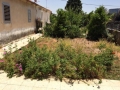 Villas for sale in Kiryat Ono.